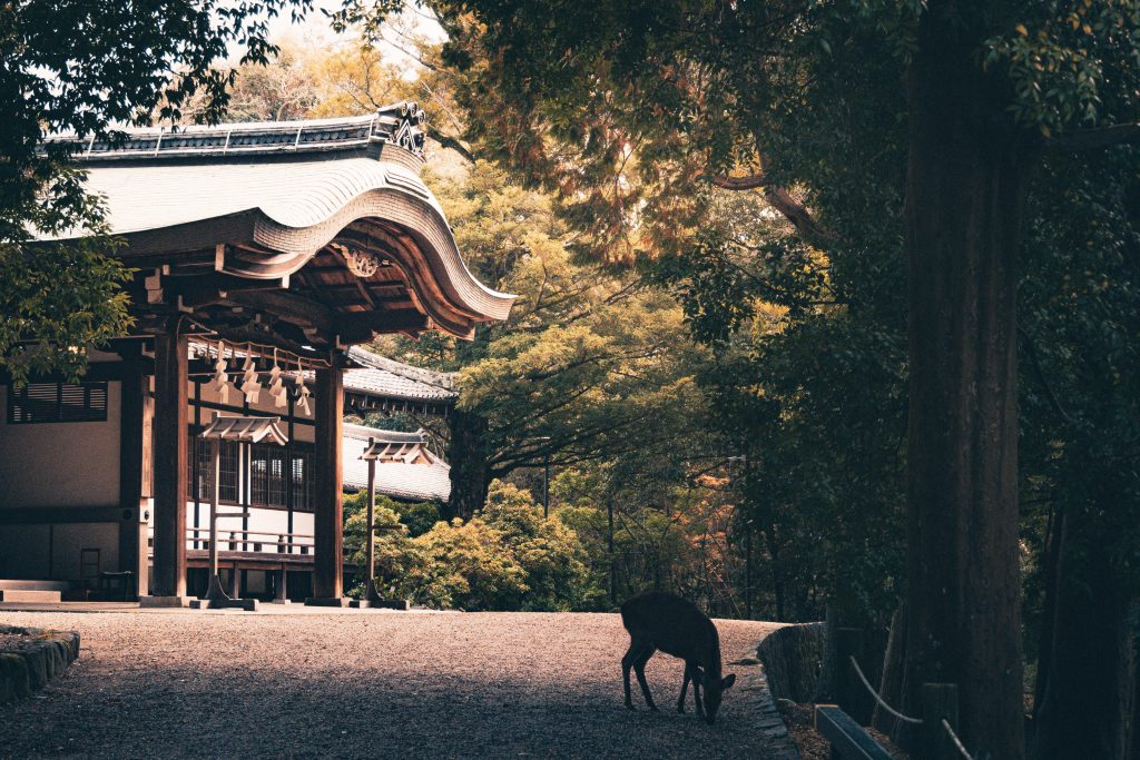Chemin méditatif au Pays du Soleil Levant (de Paul Jacquart)